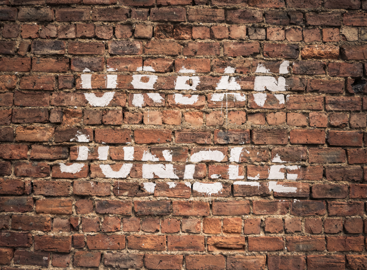 urban jungle.