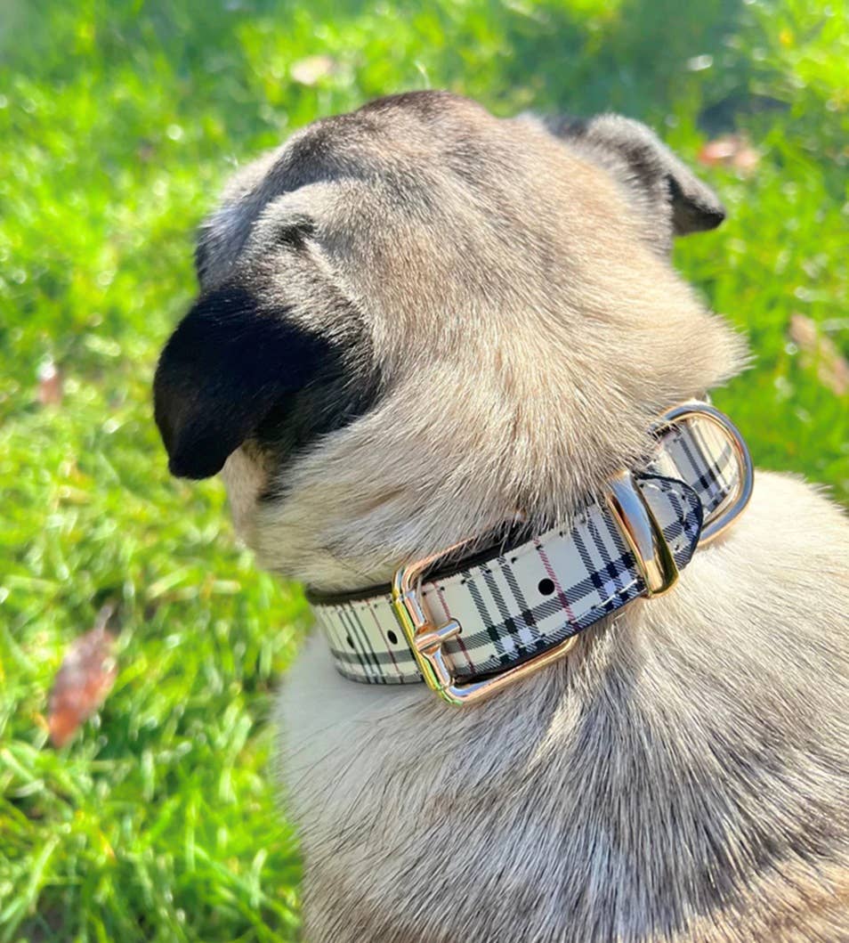 Stanley Beige Burberry-Inspired Pet Collar