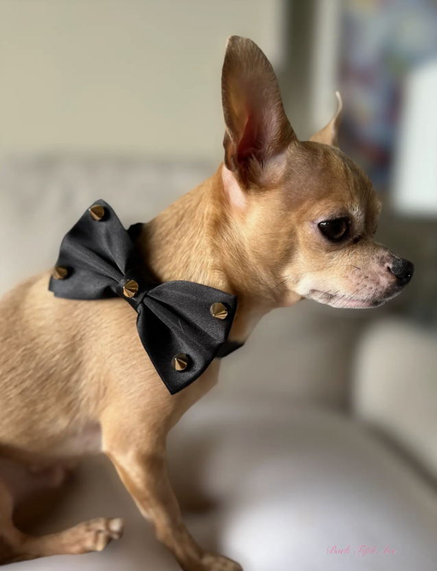 Bark Fifth Avenue - Satin Stud & Rhinestone Dapper Pet Bowtie Statement New Orleans