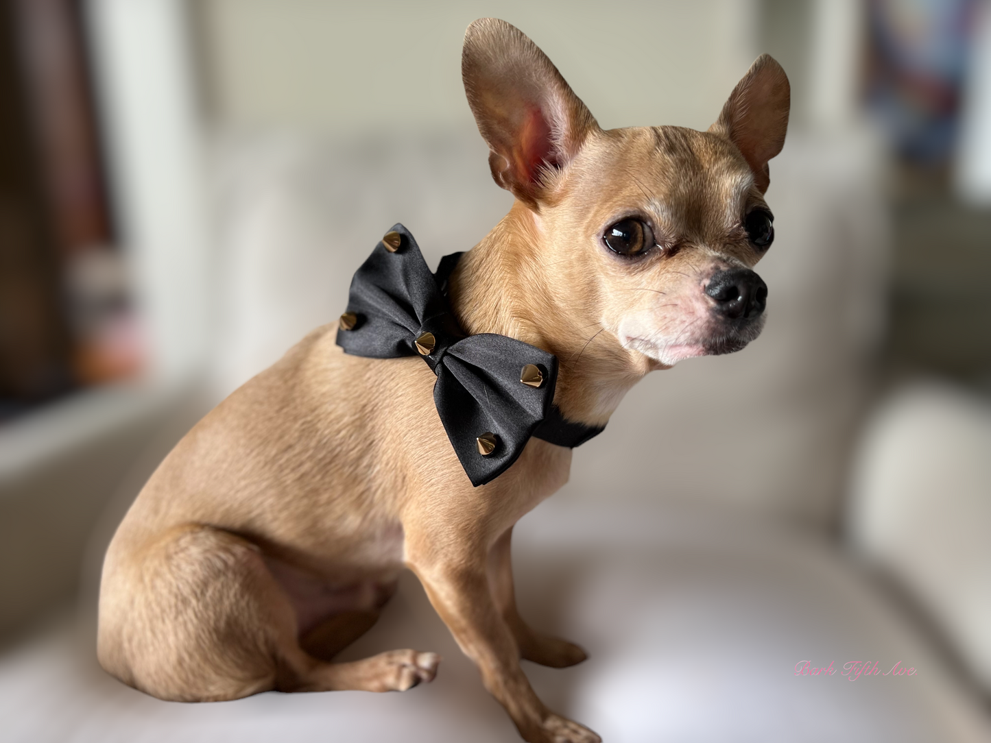 Bark Fifth Avenue - Satin Stud & Rhinestone Dapper Pet Bowtie Statement New Orleans